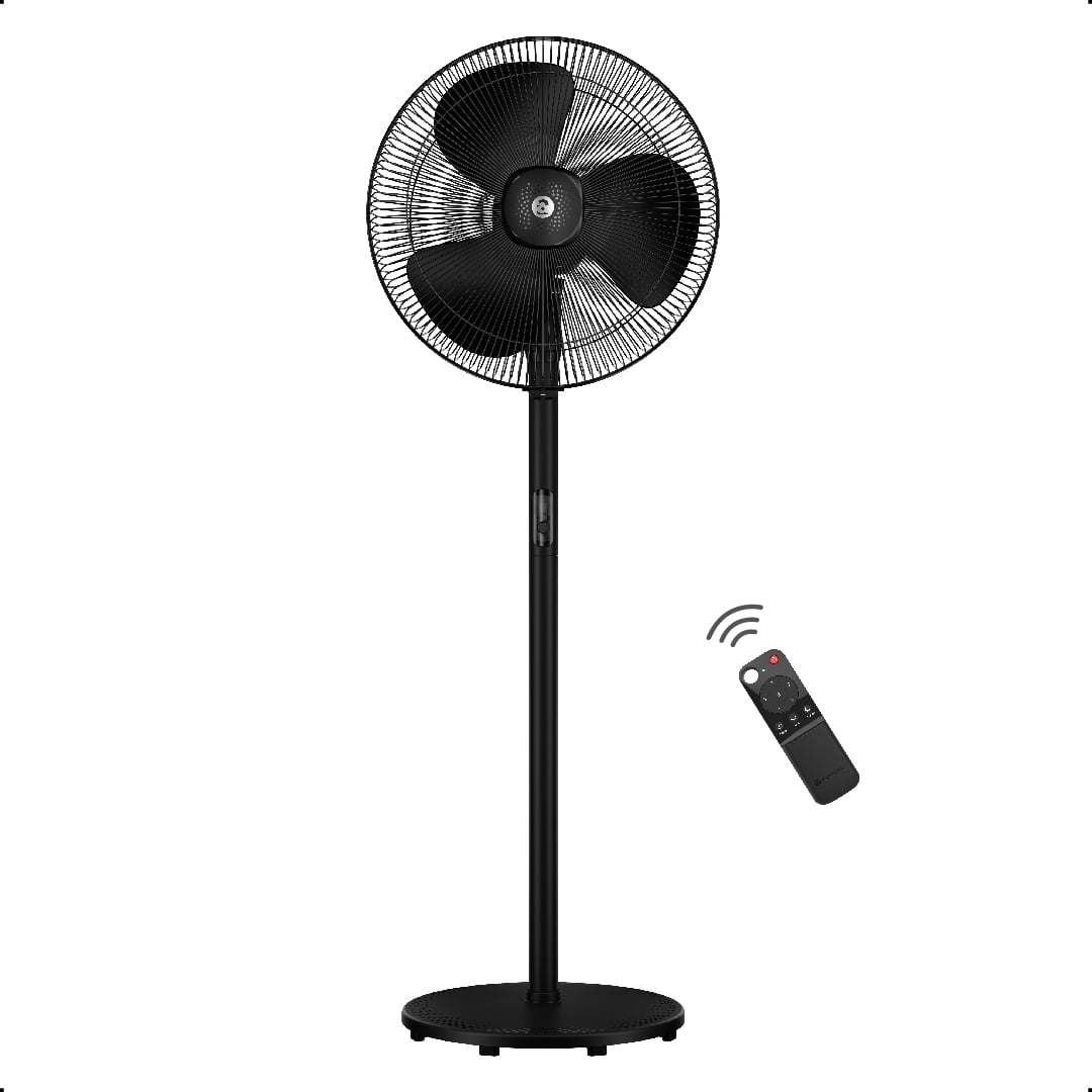 Pedestal Fans